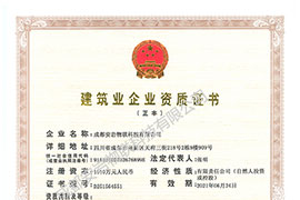 电子与智能化贰级资质